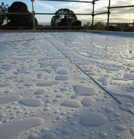 Flat Roofs